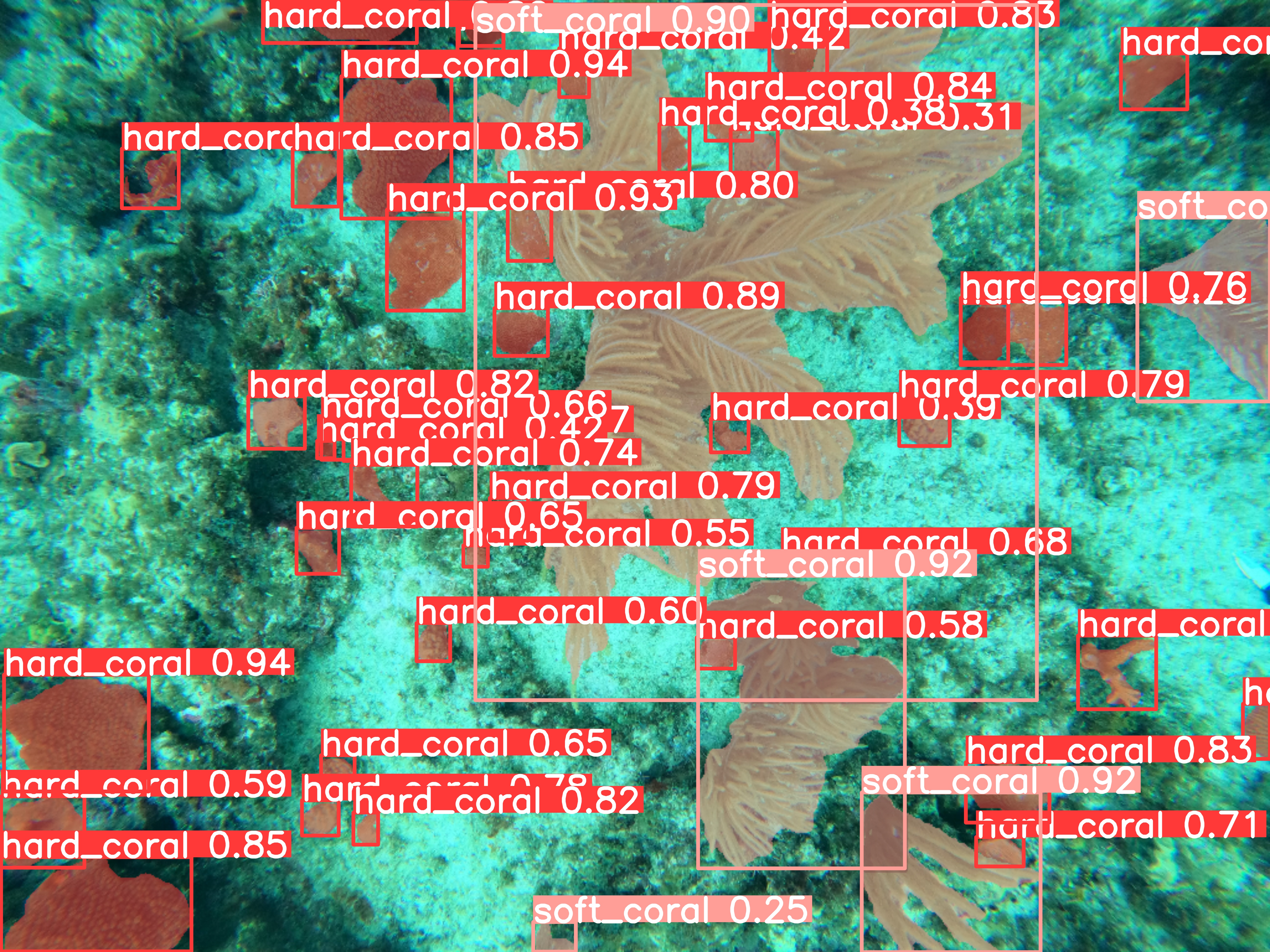 How to build a benthic coral reefs analyser