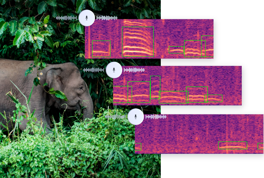 How to detect elephant rumbles at scale