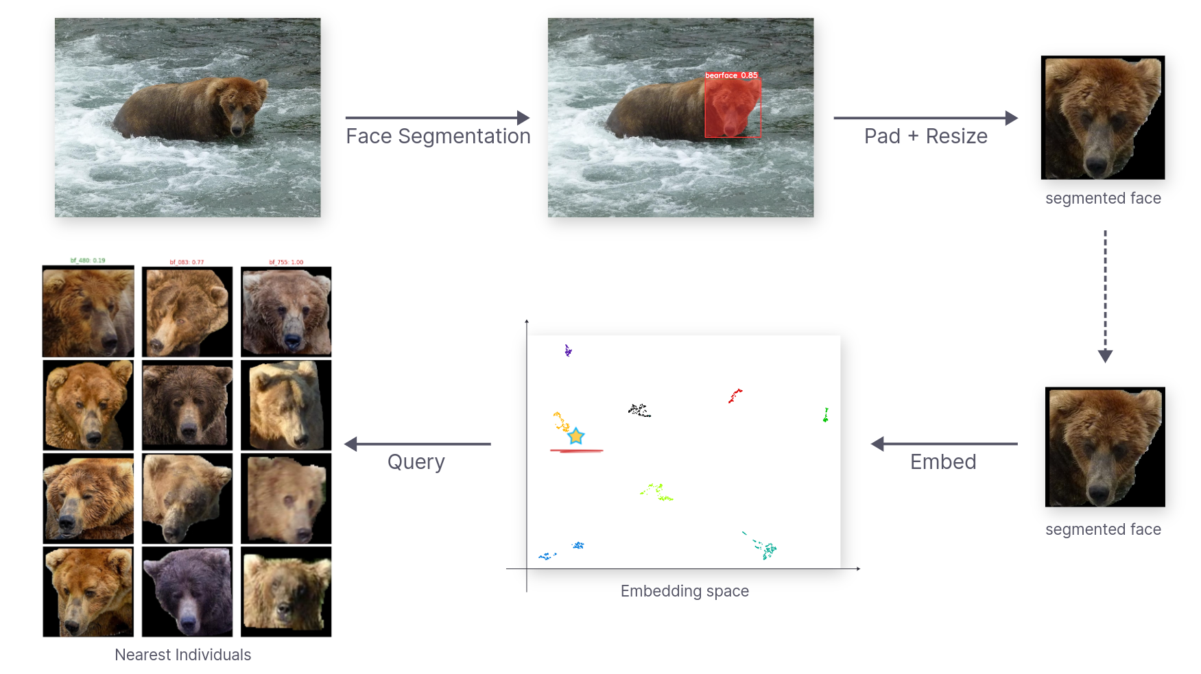 Identification Pipeline Overview