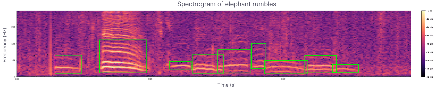 Spectrogram Elephant Rumbles