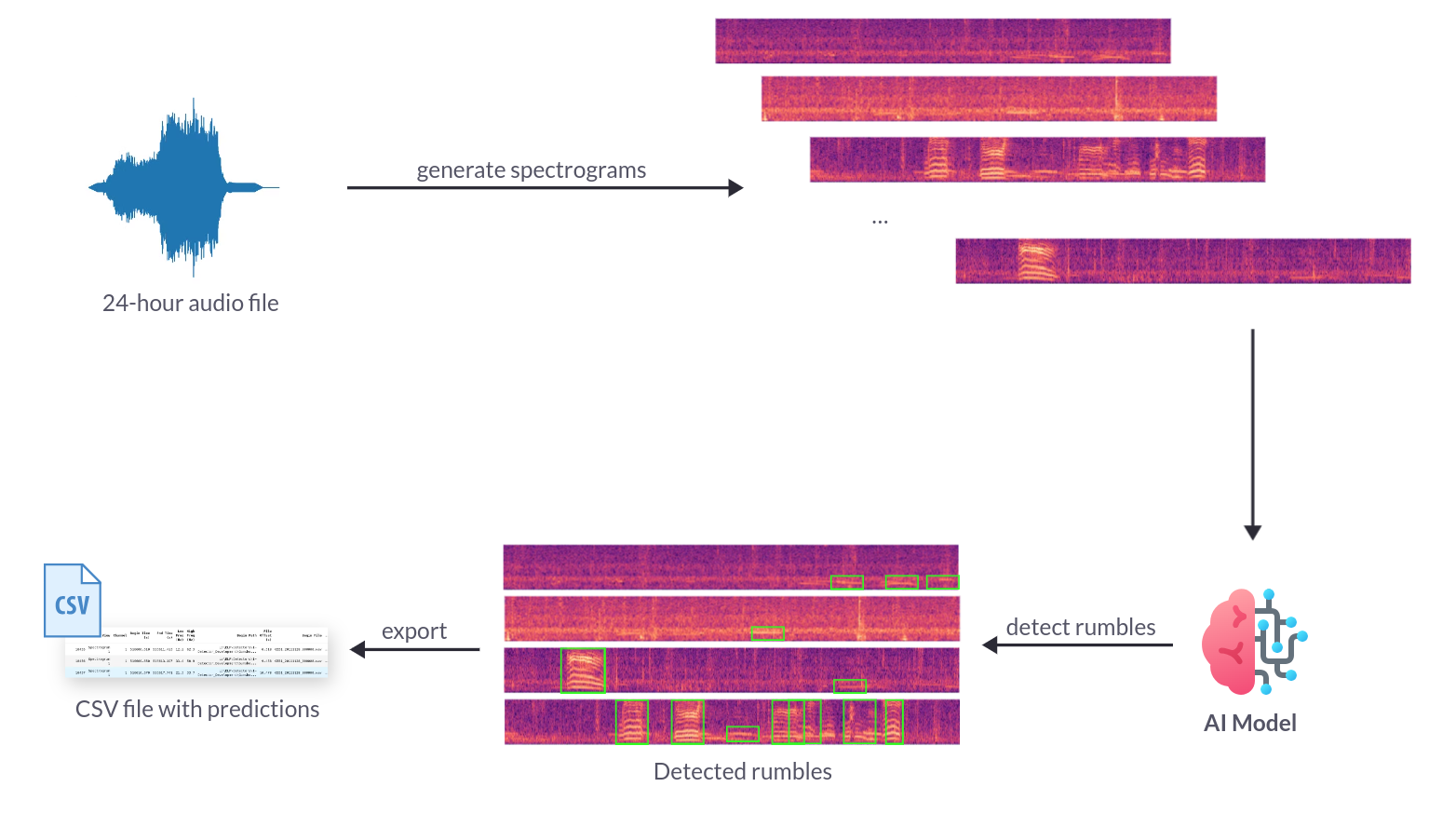 Pipeline Overview