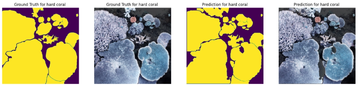 Hard Coral Viz