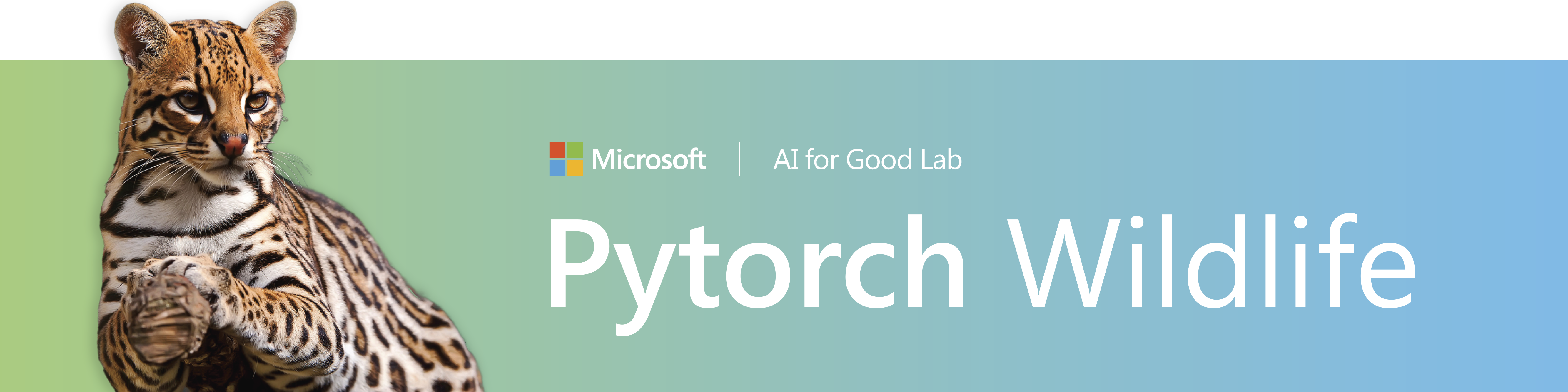 MegaDetector and Pytorch Wildlife