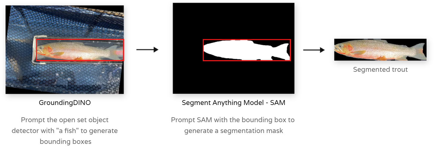 Generating Trout Masks