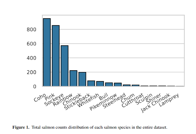 Salmon Counts distribution